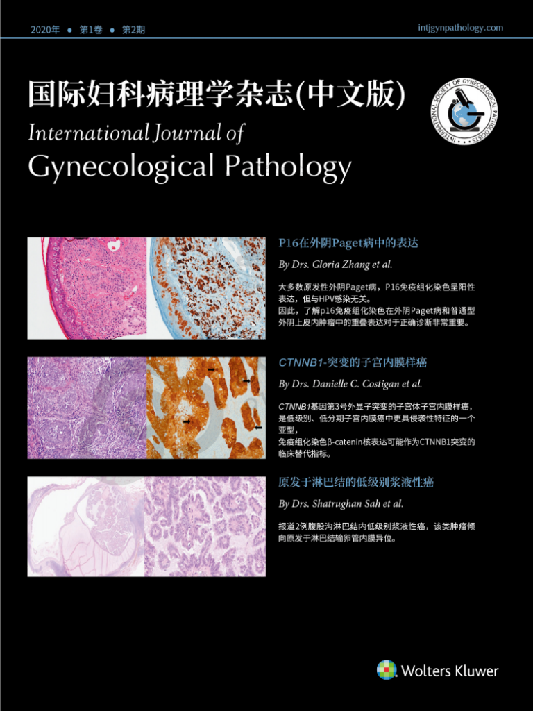 《国际妇科病理学杂志》第二期封面